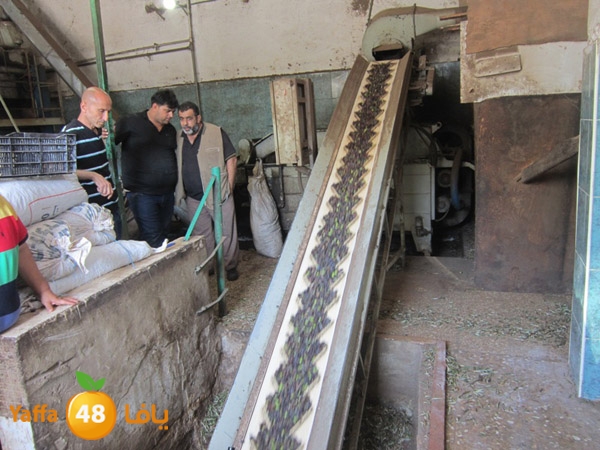 zatoon bayareq (19).JPG